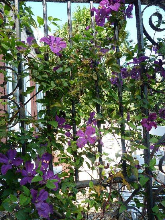 فندق Oaklands House - Adults Only Brading المظهر الخارجي الصورة